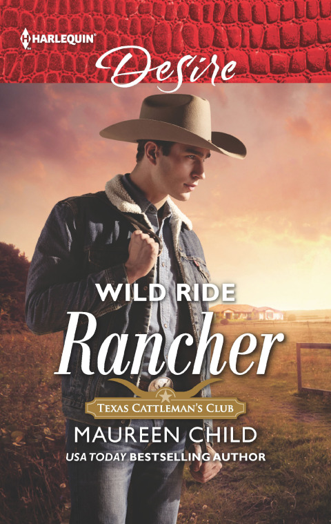 Cover image for book Wild Ride Rancher