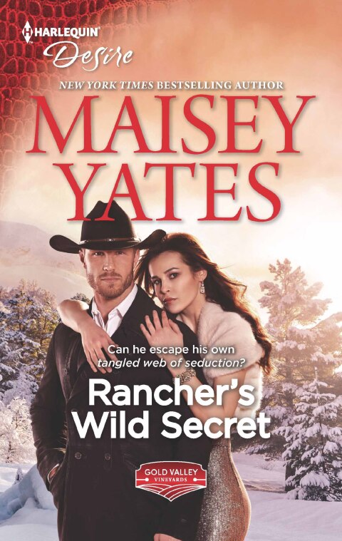 Cover image for book Rancher's Wild Secret