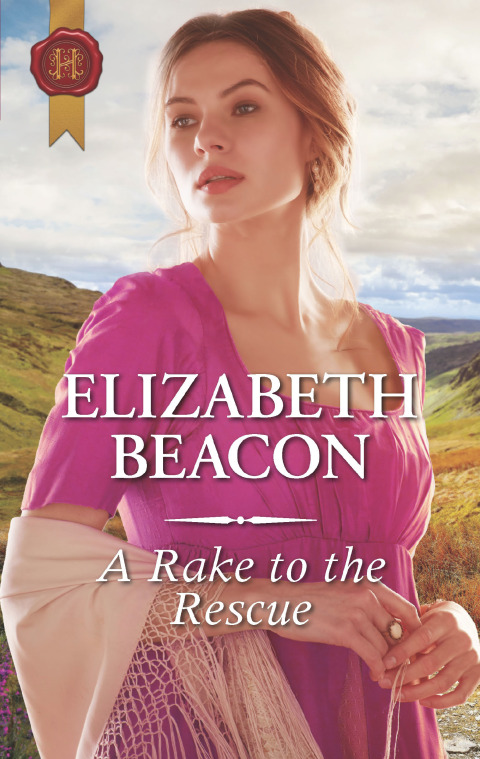 Cover image for book A Rake to the Rescue