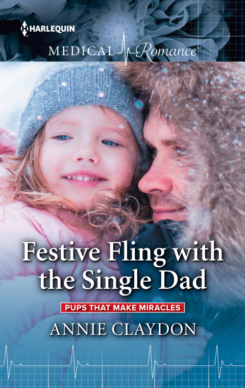 Cover image for book Festive Fling with the Single Dad