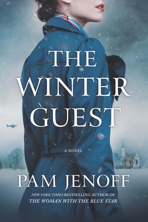 Cover image for book The Winter Guest