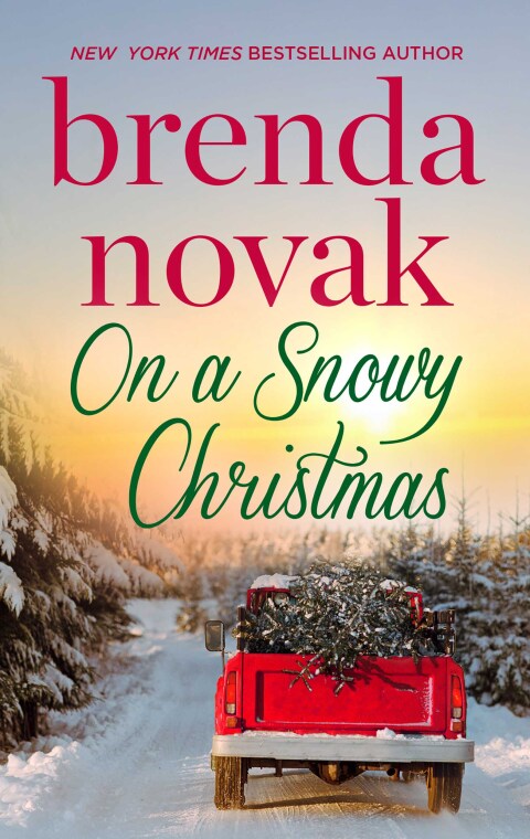Cover image for book On a Snowy Christmas