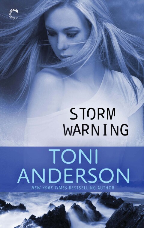 Cover image for book Storm Warning