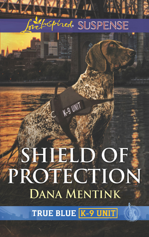 Cover image for book Shield of Protection
