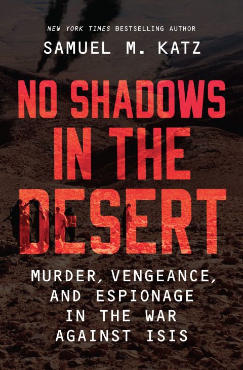 Cover image for book No Shadows in the Desert