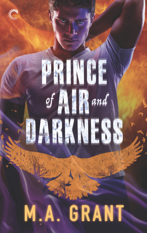 Prince of Air and Darkness 