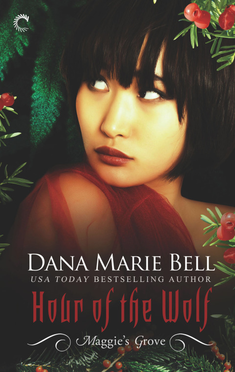 Cover image for book Hour of the Wolf