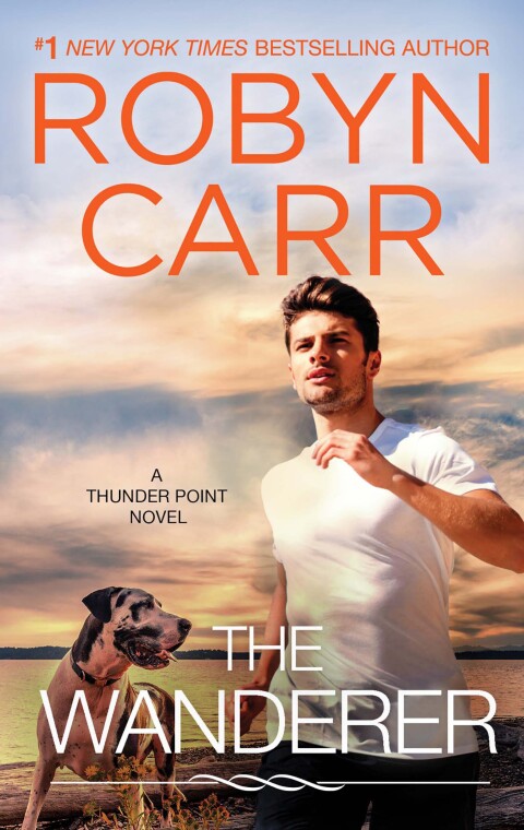 Cover image for book The Wanderer