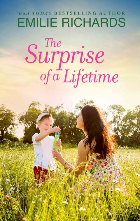 Cover image for book The Surprise of a Lifetime