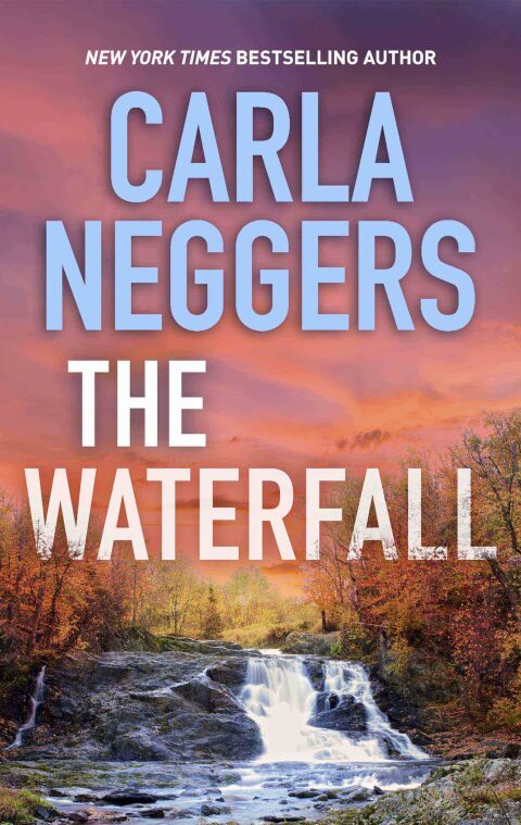 Cover image for book The Waterfall