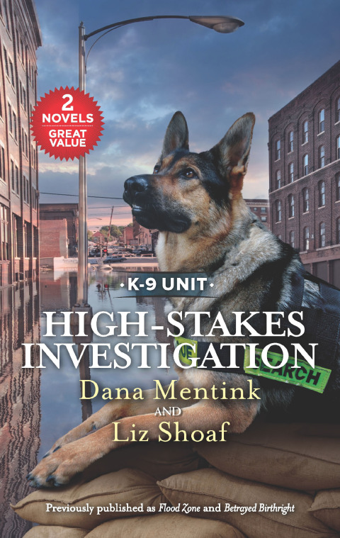 Cover image for book High-Stakes Investigation