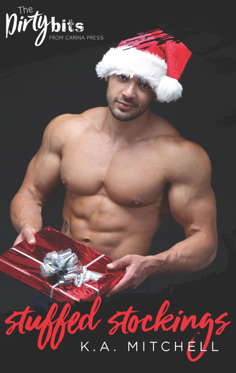 Cover image for book Stuffed Stockings