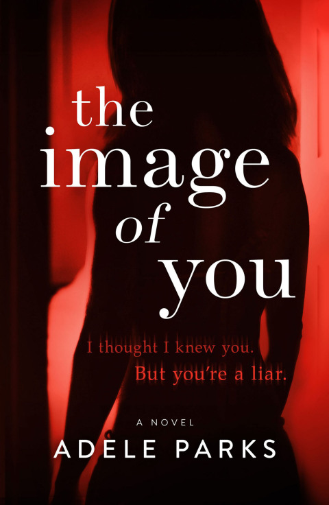 Cover image for book The Image of You