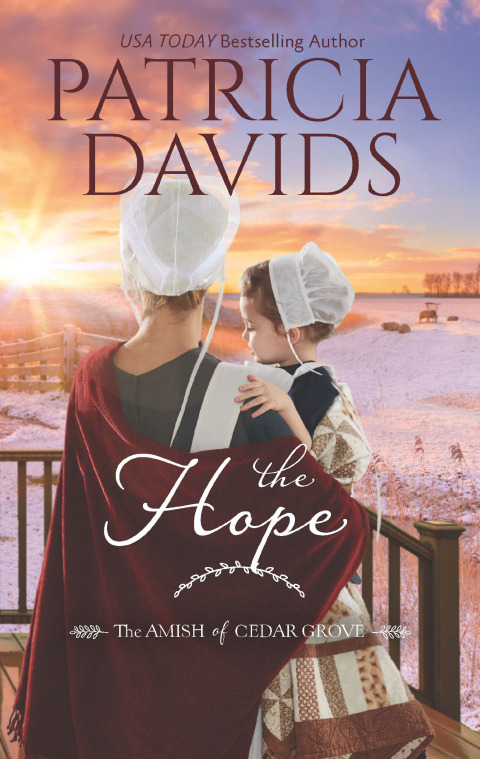 Cover image for book The Hope