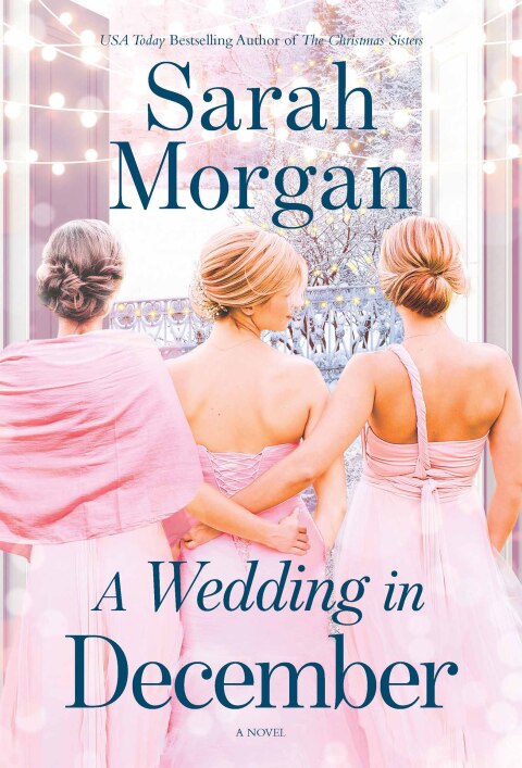 Cover image for book A Wedding in December