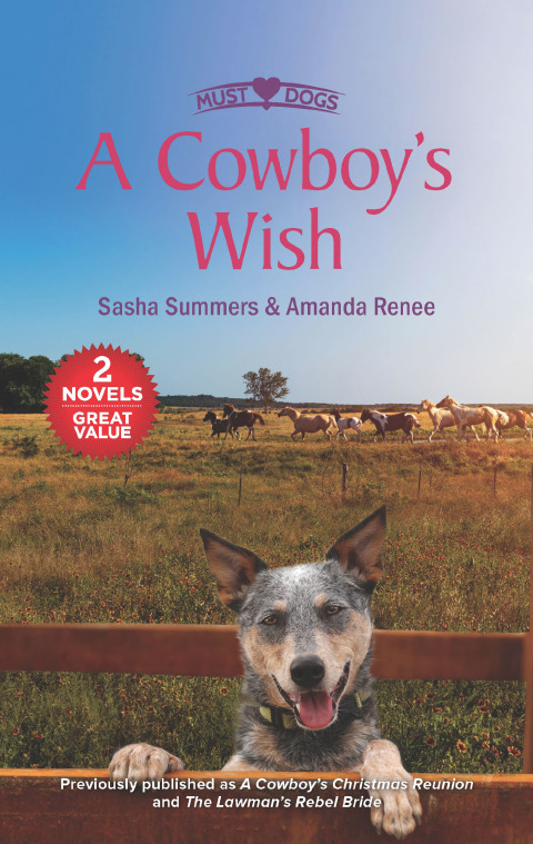 Cover image for book A Cowboy's Wish