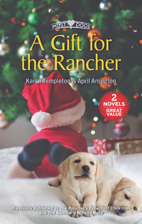 Cover image for book A Gift for the Rancher