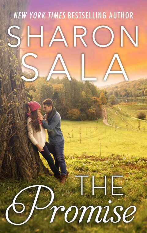 Cover image for book The Promise