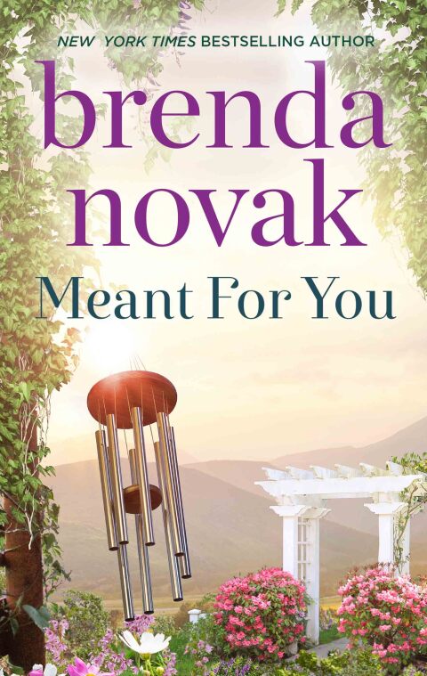 Cover image for book Meant for You