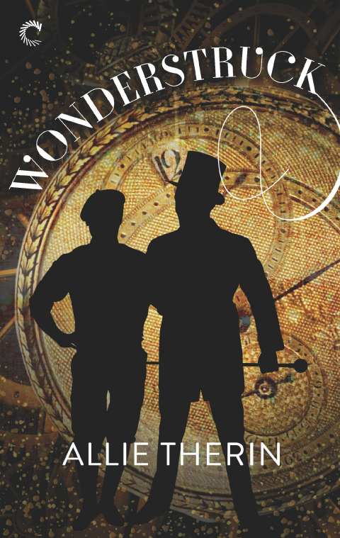 Cover image for book Wonderstruck