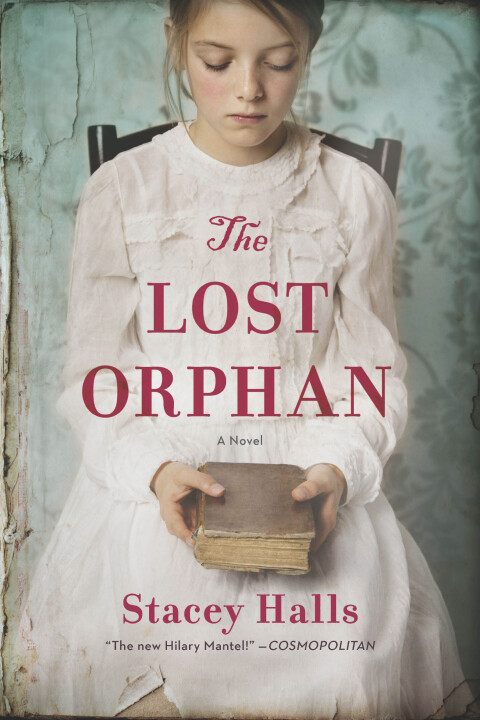 Cover image for book The Lost Orphan