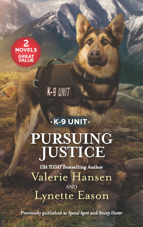 Cover image for book Pursuing Justice