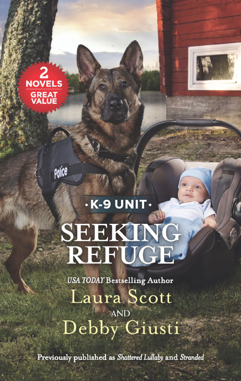 Cover image for book Seeking Refuge