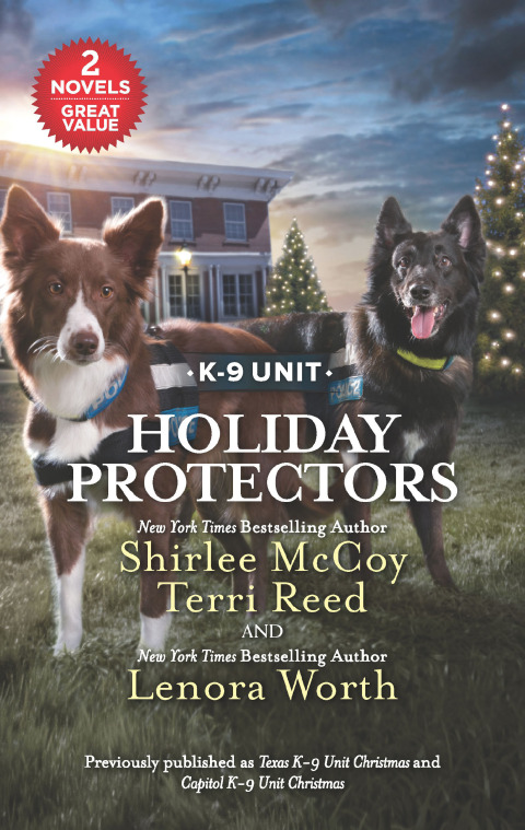 Cover image for book Holiday Protectors