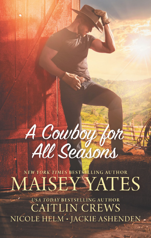 Cover image for book A Cowboy for All Seasons
