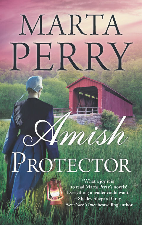Cover image for book Amish Protector