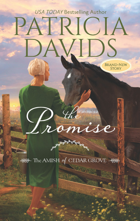 Cover image for book The Promise