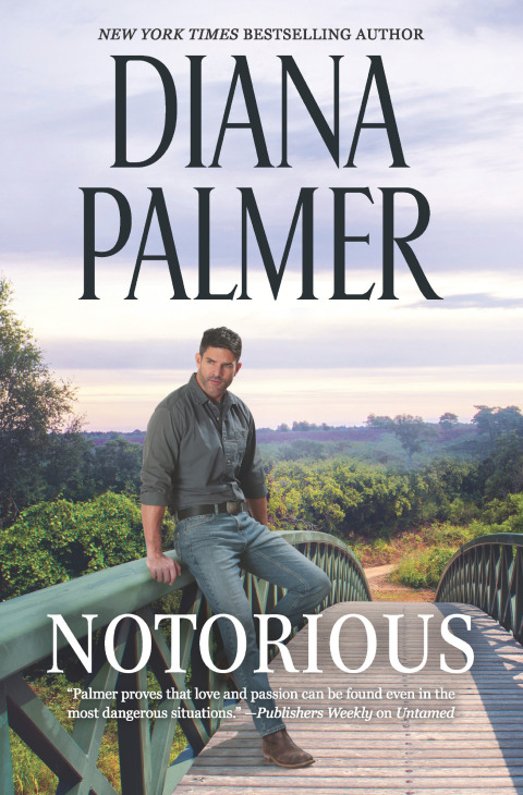 Cover image for book Notorious