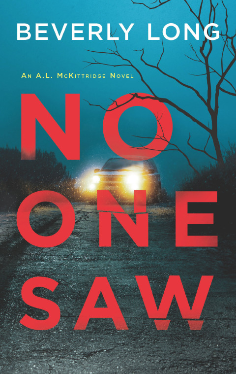 Cover image for book No One Saw