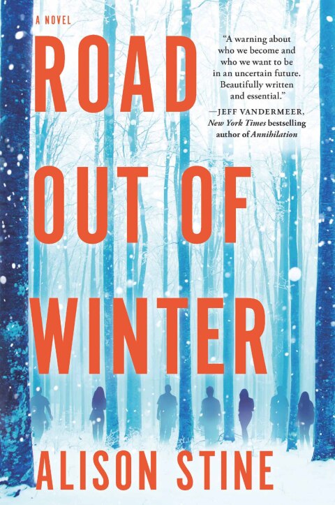 Cover image for book Road Out of Winter