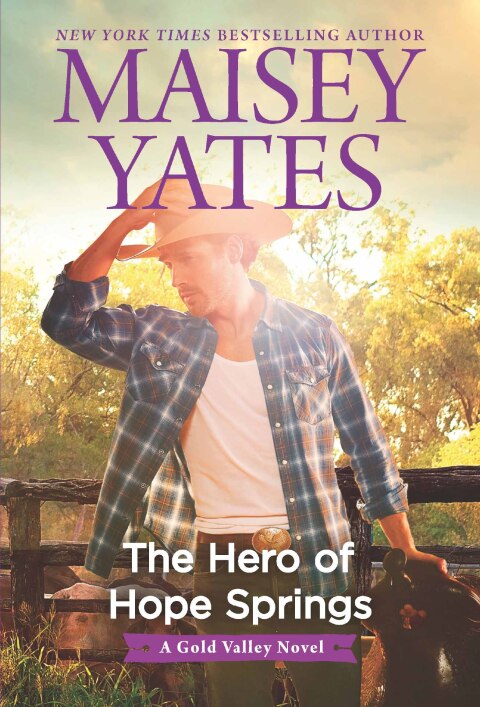 Cover image for book The Hero of Hope Springs