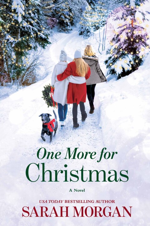 Cover image for book One More for Christmas
