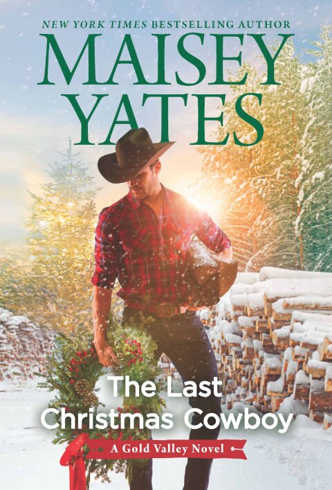Cover image for book The Last Christmas Cowboy