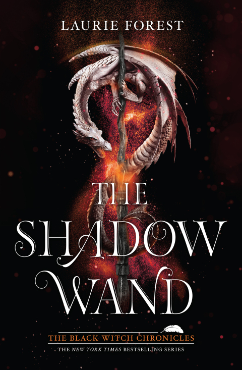 Cover image for book The Shadow Wand