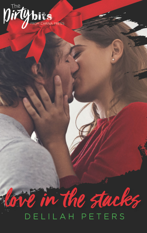 Cover image for book Love in the Stacks