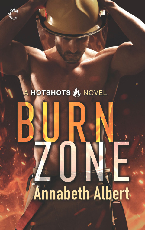 Cover image for book Burn Zone