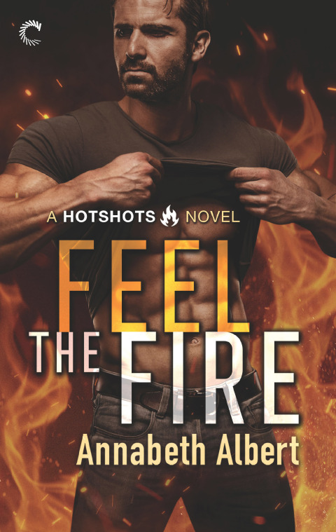 Cover image for book Feel the Fire