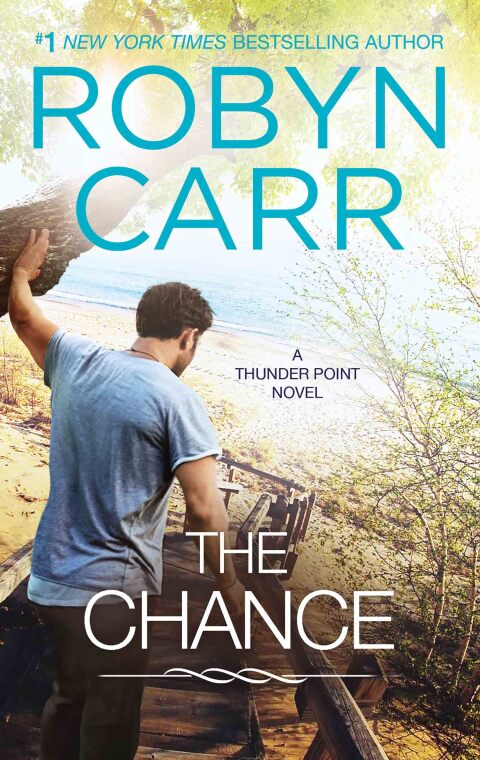 Cover image for book The Chance