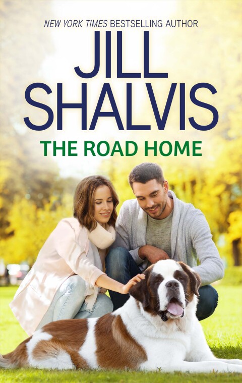 Cover image for book The Road Home