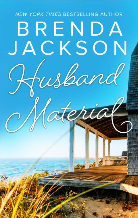 Cover image for book Husband Material