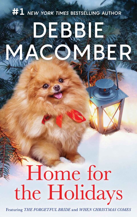 Cover image for book Home for the Holidays