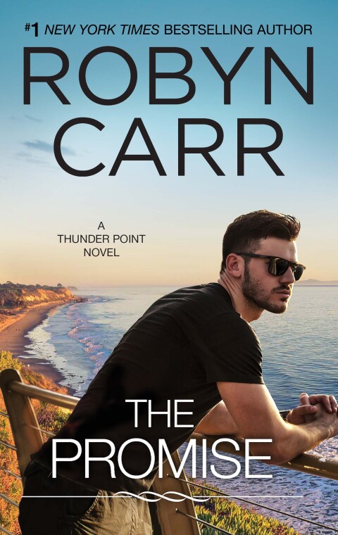 Cover image for book The Promise
