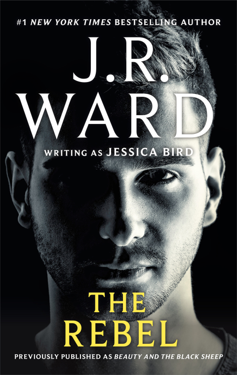 Cover image for book The Rebel