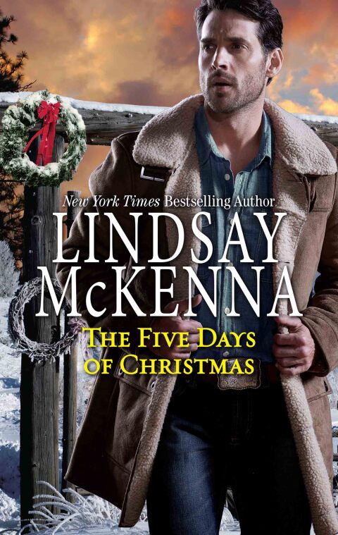 Cover image for book The Five Days of Christmas