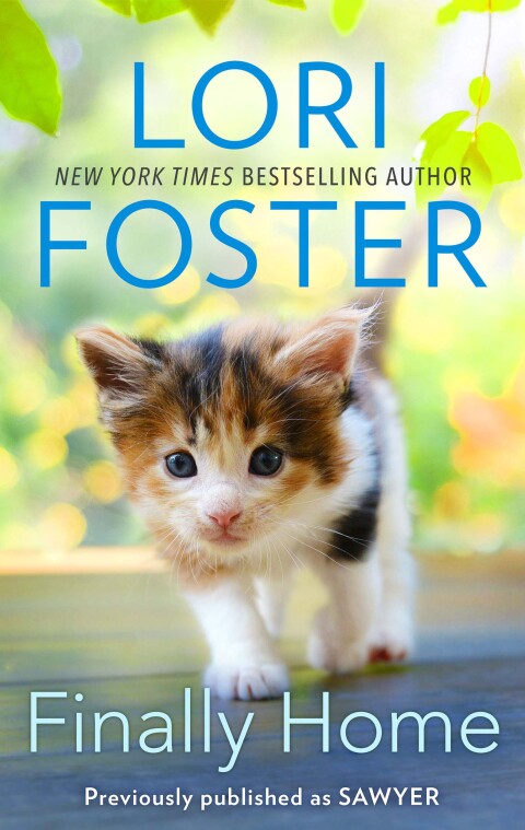 Cover image for book Finally Home