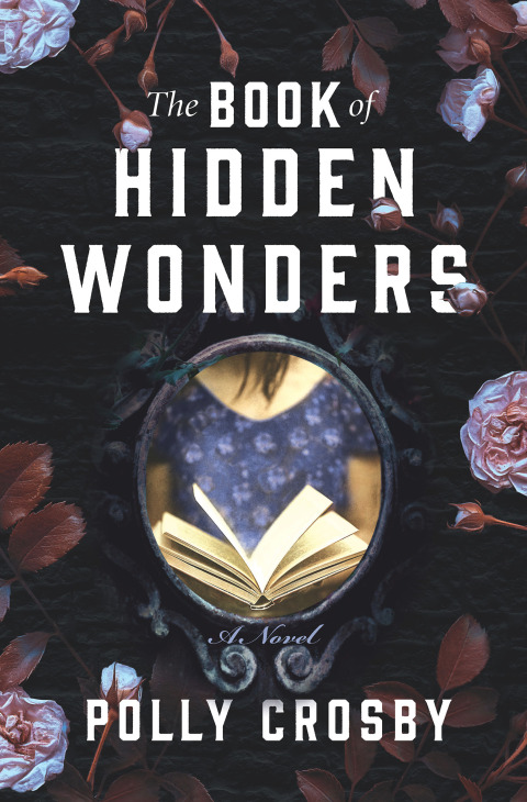 Cover image for book The Book of Hidden Wonders